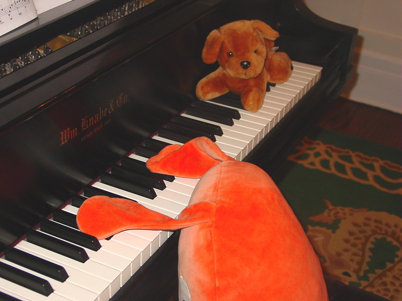 Plush Piano