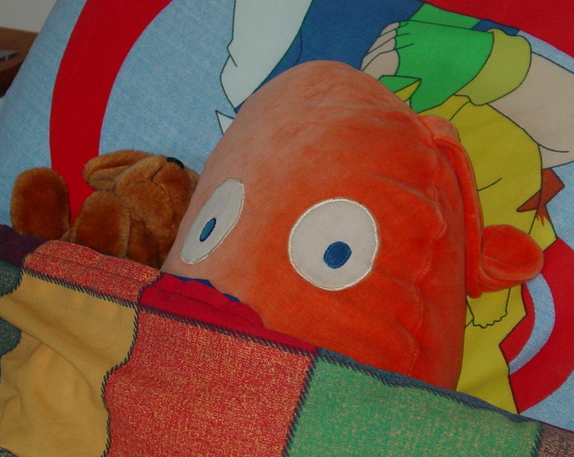 Monsieur Bun and Plush Pup Sleeping